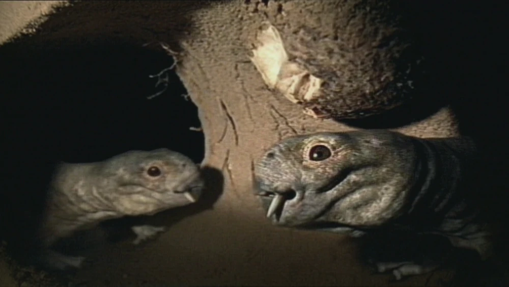 Two Diictodon in their burrow, as depicted in the 2005 BBC series Walking With Monsters